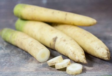 carrote blanche